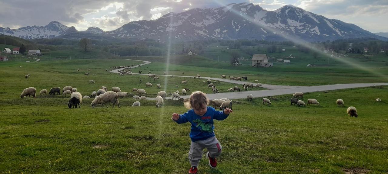 Organic Family Farm Hotell Žabljak Eksteriør bilde