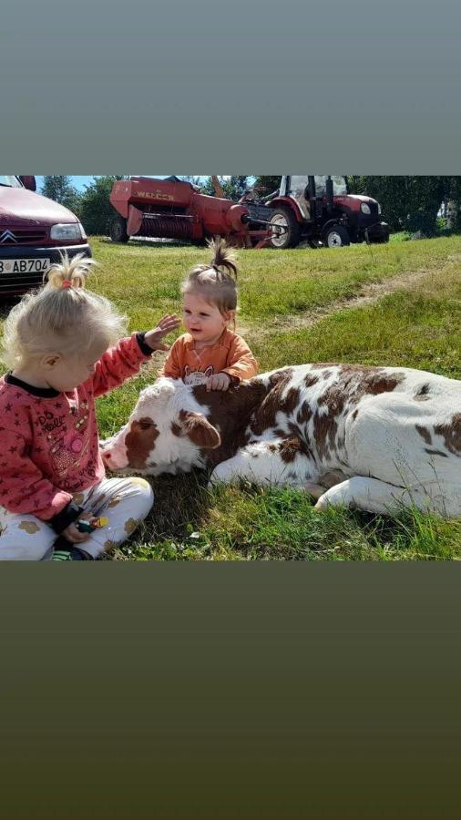 Organic Family Farm Hotell Žabljak Eksteriør bilde