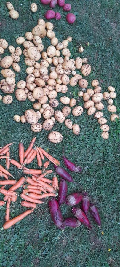 Organic Family Farm Hotell Žabljak Eksteriør bilde