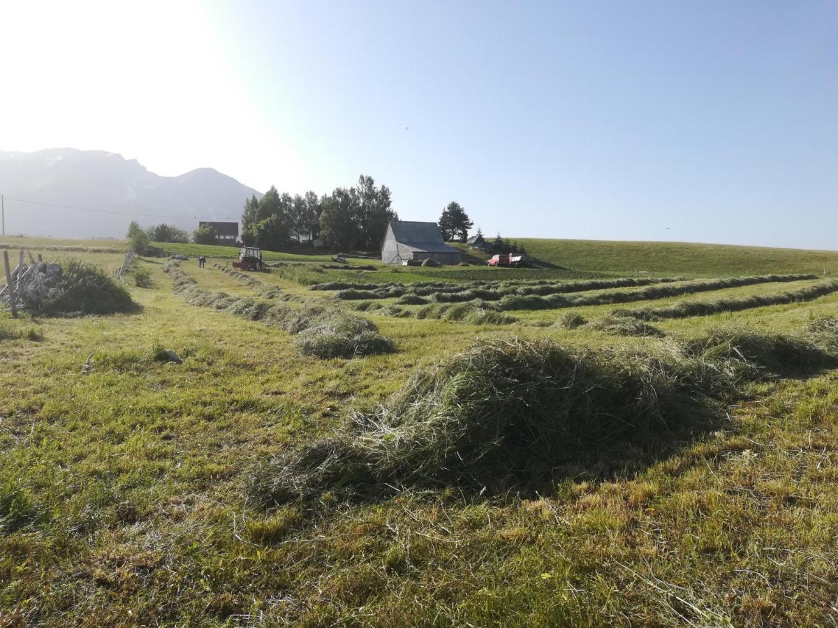 Organic Family Farm Hotell Žabljak Eksteriør bilde