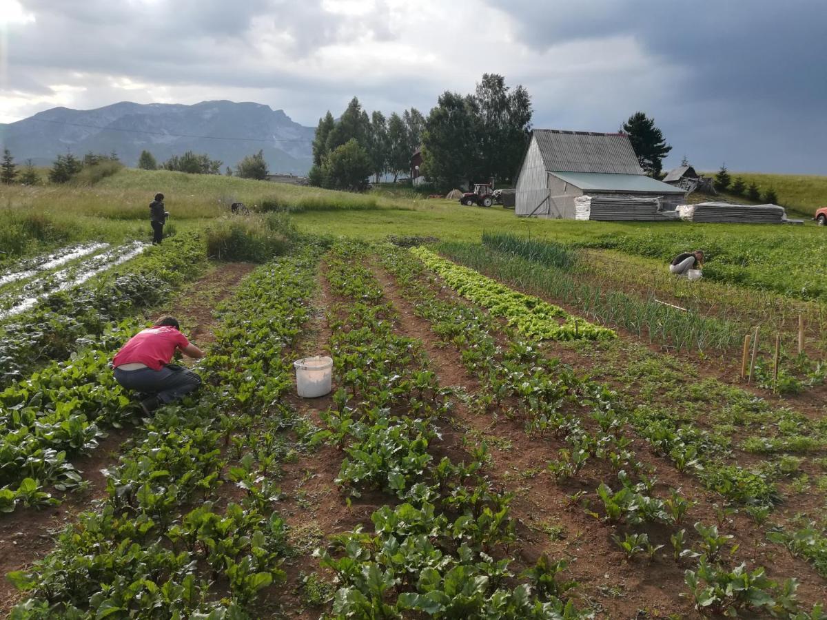 Organic Family Farm Hotell Žabljak Eksteriør bilde