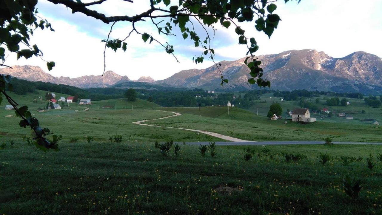 Organic Family Farm Hotell Žabljak Eksteriør bilde