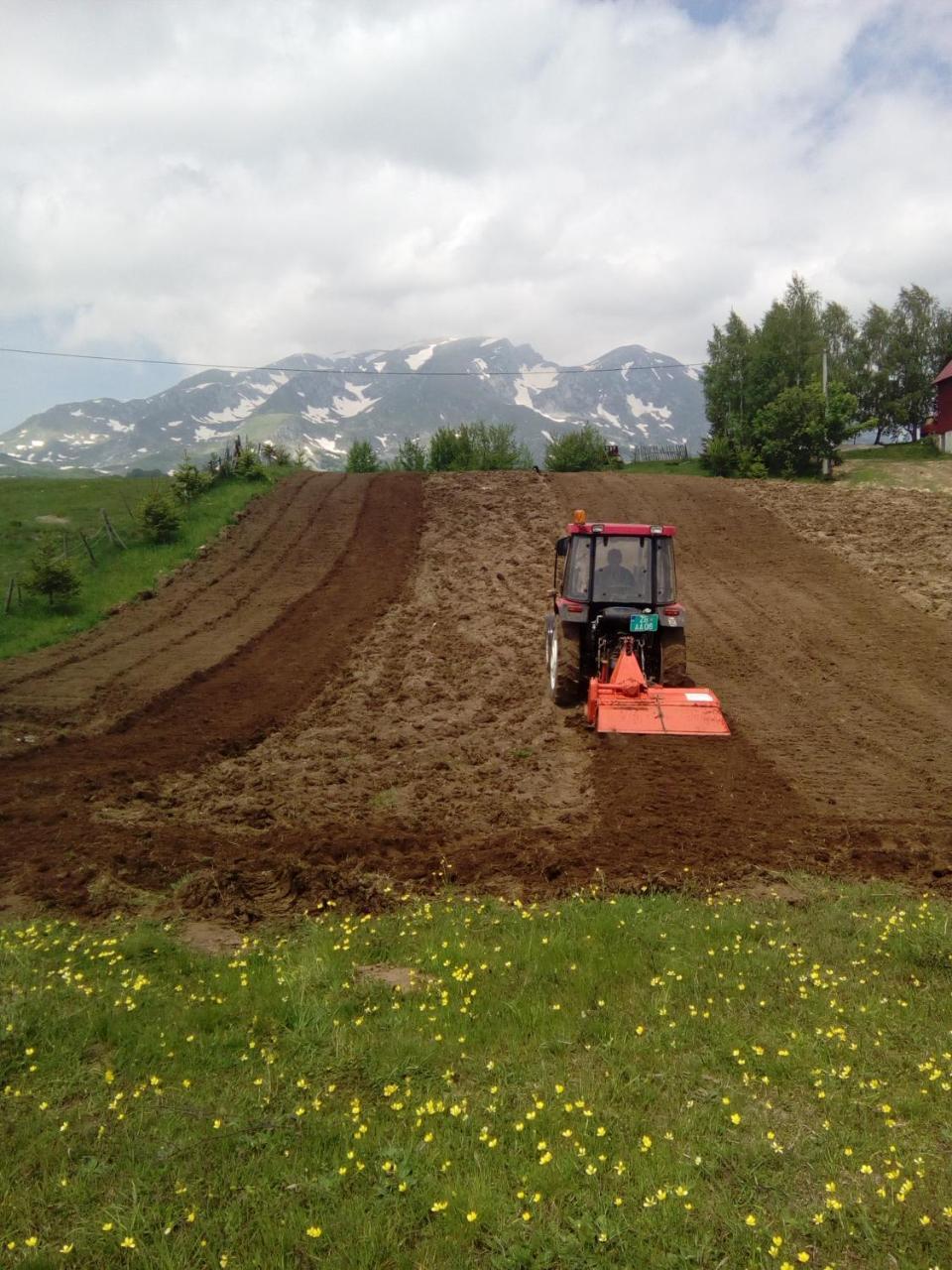 Organic Family Farm Hotell Žabljak Eksteriør bilde