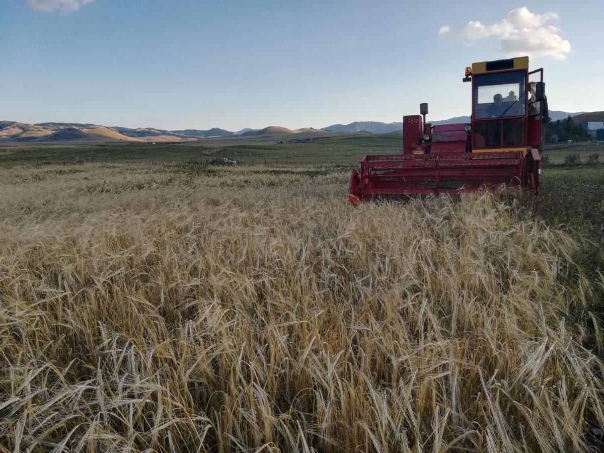 Organic Family Farm Hotell Žabljak Eksteriør bilde